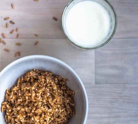 无需注册即可用的网站攻击软件